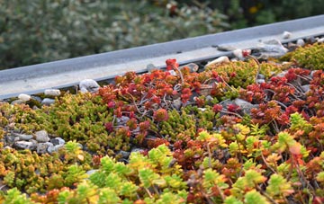 the cost of Kington Langley green roof installation