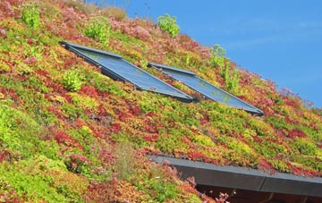 Kington Langley living roof systems