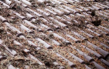 Kington Langley roof cleaning companies